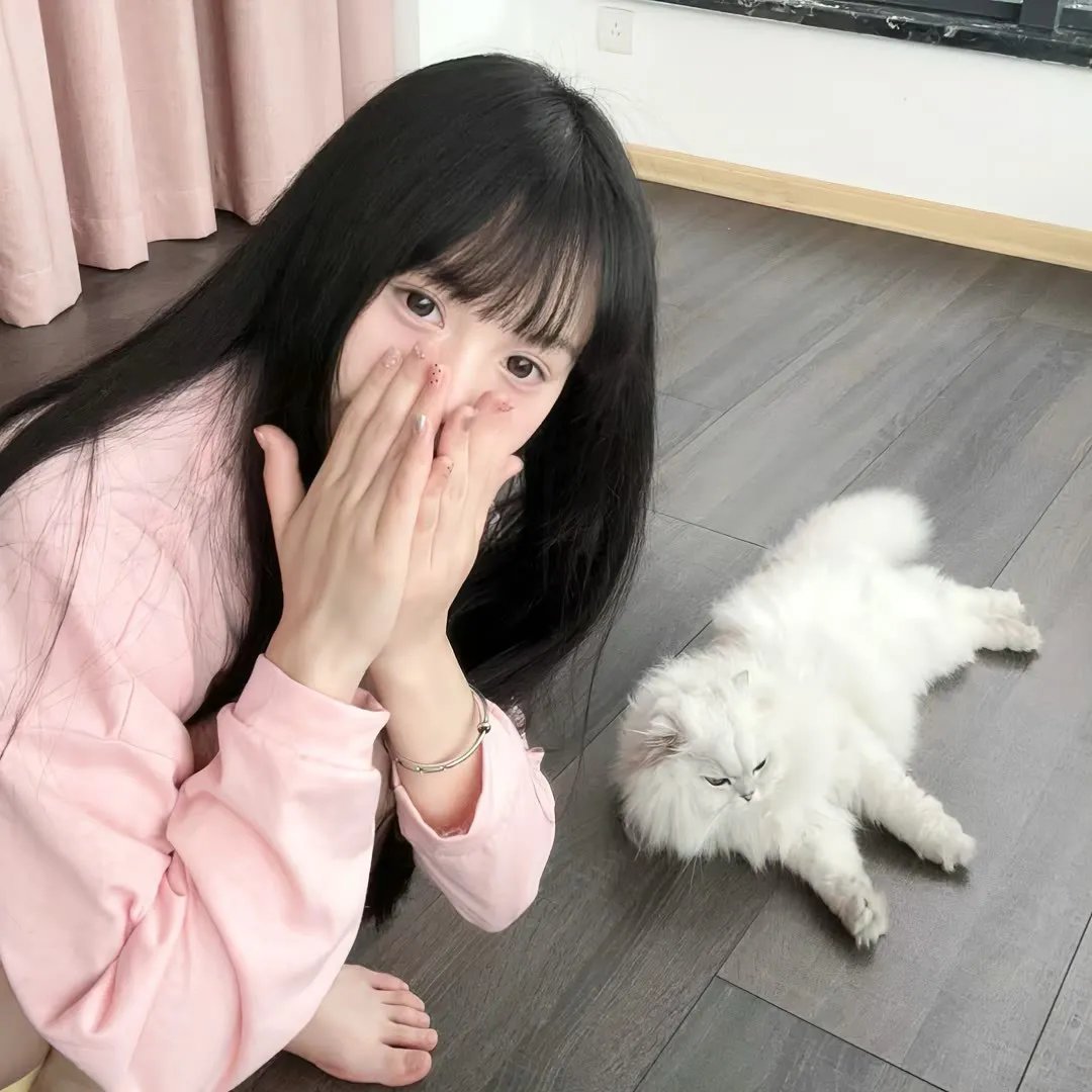 金銮藏妖传